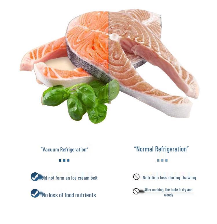 Fully Automatic Dual-Use Vacuum Sealer for Dry & Wet Food Preservation, Single Chamber