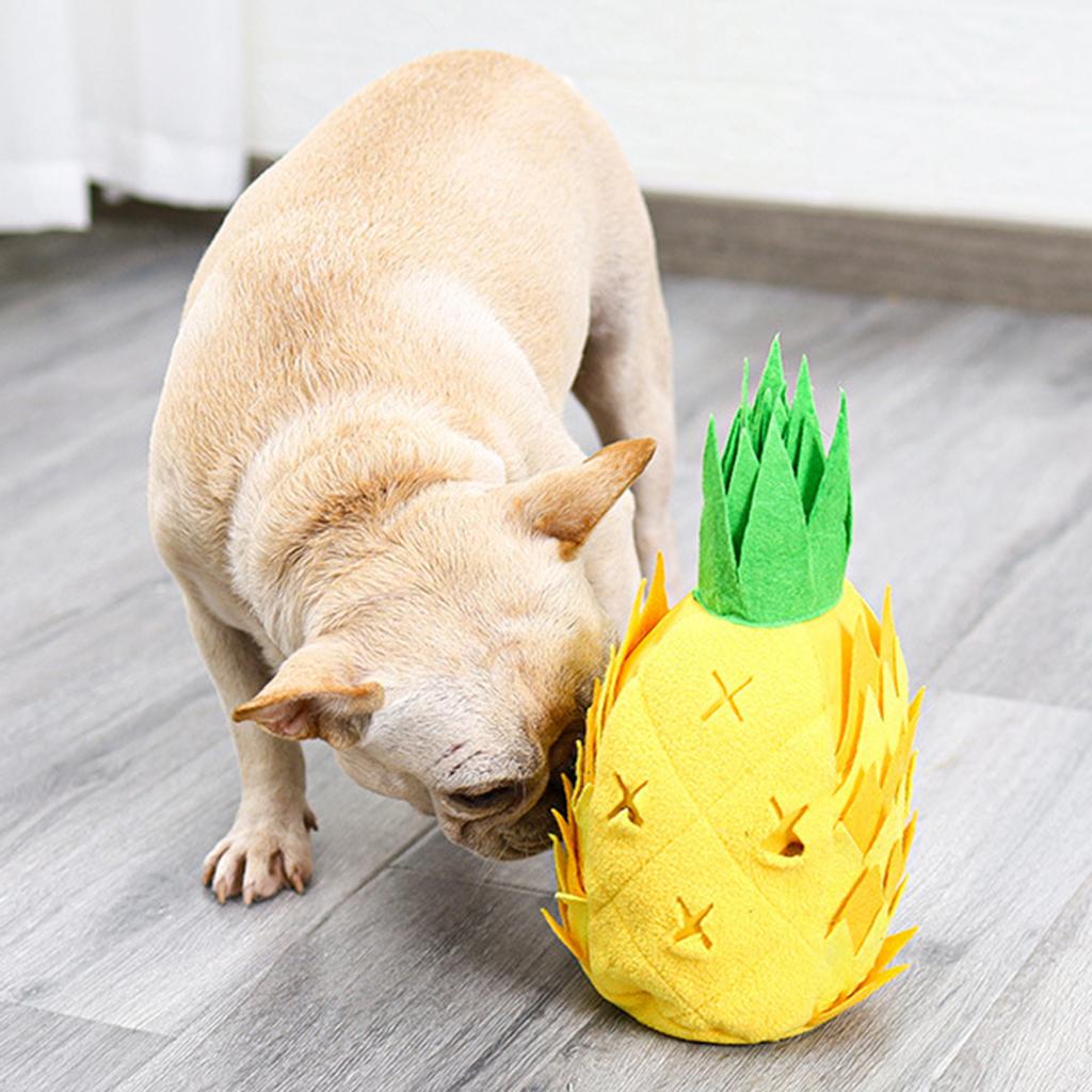 squeaky pineapple dog toy