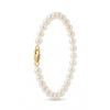 Bracelet - Pearls & Colors - Freshwater Cultured Pearls 5-6 Mm - 9 Ct Yellow Gold - AAA+ Quality - Woman