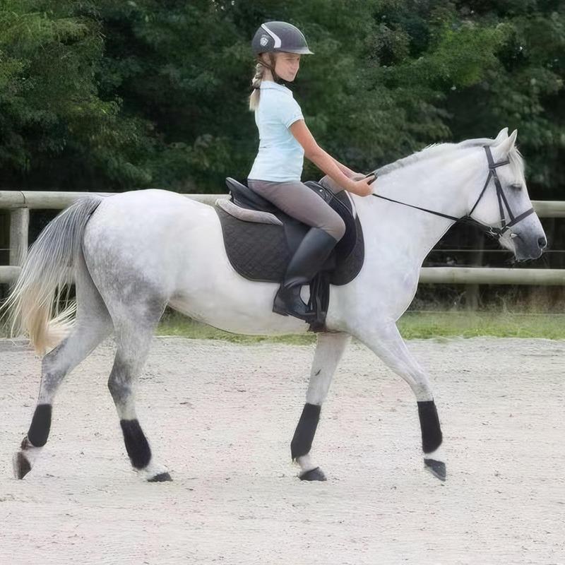 Horse Leggings Anti-collision Diving Material Horse Leggings Harness Professional Horse Racing Equipment