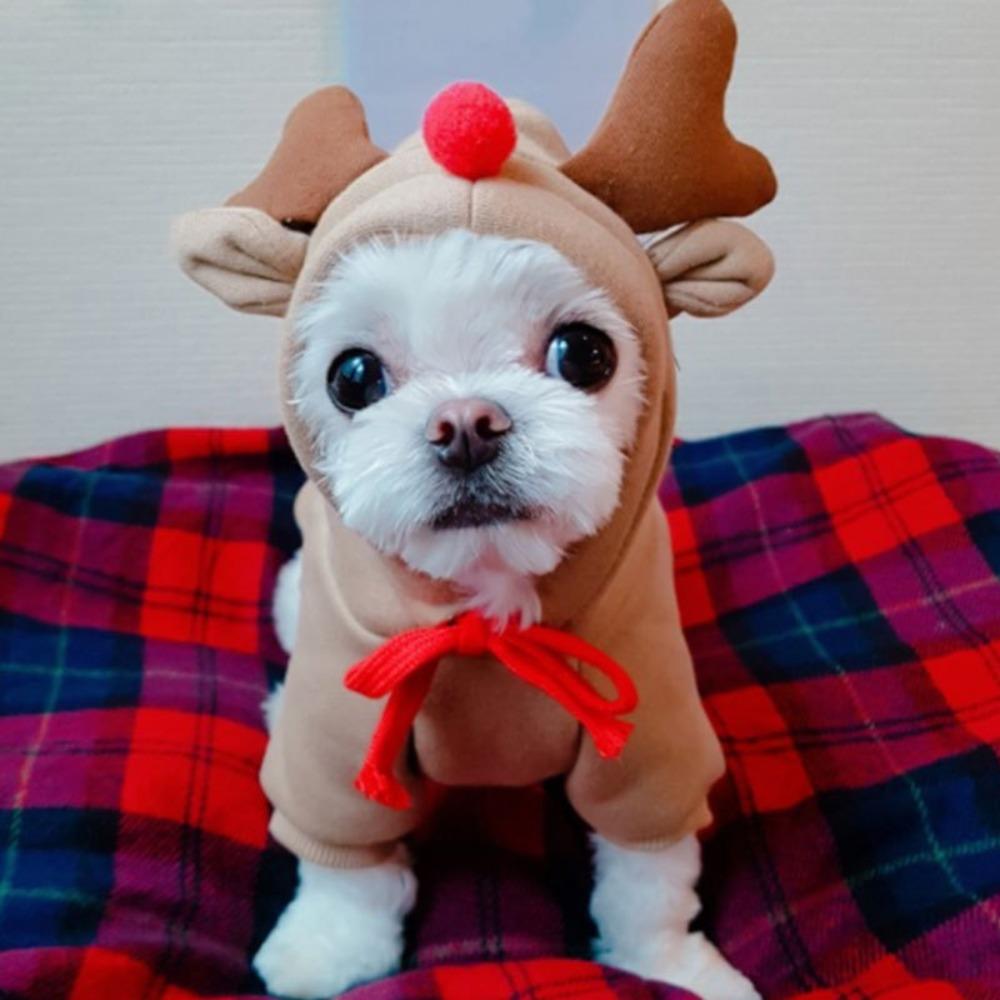 Pet Elk Transformation Dog Cat Small Medium Dog Autumn Winter Sweater Dog Fleece Clothing Cat Supplies Teddy Doo