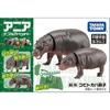 Takara Tomy "Семья карликового бегемота Ania AS-16" Животное Динозавр Реалистичная подвижная фигурка Игрушка для детей от 3 лет Соответствует стандартам безопасности игрушек Сертифицировано знаком ST
