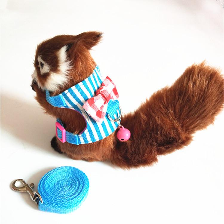 

Small Pet Outdoor Towing Rope, Suitable For Outdoor Walks M синий