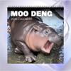 2025 Hippo Wall Calendar Monthly Pygmy Hippo Images Calendar Hanging Hippo Calendar Gift for Family Friends Animal Lover
