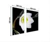 GLAS-SCHUTZPLATTE 75x52 ORCHIDEE