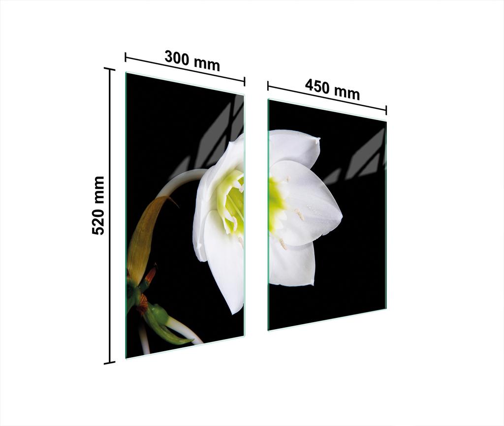 GLAS-SCHUTZPLATTE 75x52 ORCHIDEE