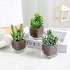 1Pcs Succulent Plant Artificial Transparent Flowerpot Fake Cactus Plant Indoor For Window Office Racks Bathroom Home Decoration