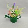 Brightly Colored Compact Watering Cans Galvanized Materials Heavy Duty Build Nonslip Grip For Terraces Plant Maintenance