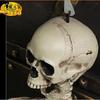 Scheletro Umano Completo per Halloween, Ossa Craniche Realistiche per Casa Infestata, Decorazioni Spaventose per Feste