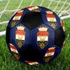 SIZE 5 Willem II Soccer Ball Colorful All Ages Machine Stitched PVC Competition Ready Durable High-Bounce