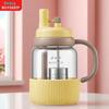 Buydeem 800ml Glass Tea Infuser Bottle