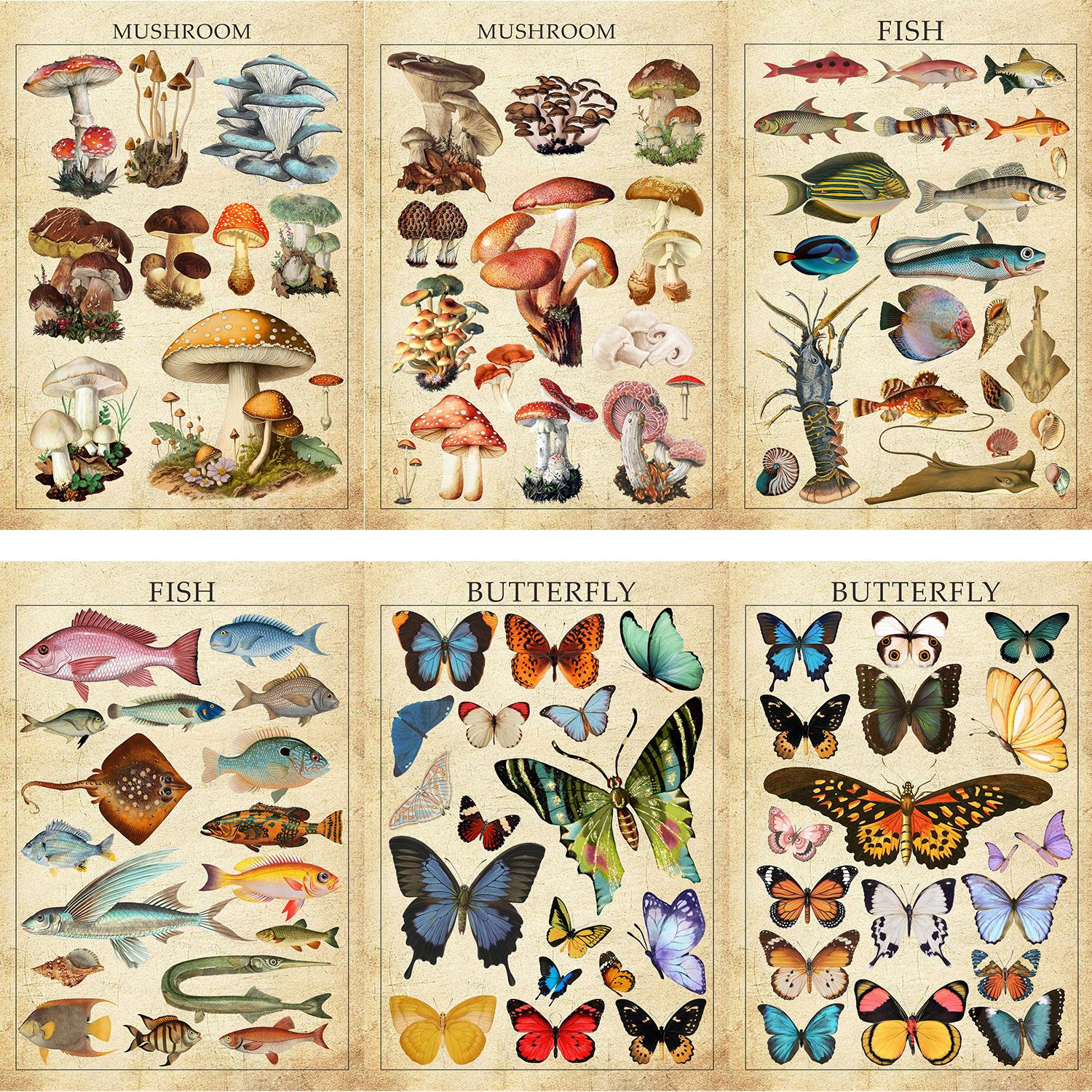 

8 Ретро Коллекция Природных Фотографий Коллаж Практическое Руководство Сделай Сам Чехол для Мобильного Телефона Украшение для Ноутбука Водонепроницаемые Наклейки