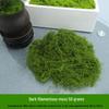 Artificial Moss Silk Grass Lawn for Landscaping and Decoration