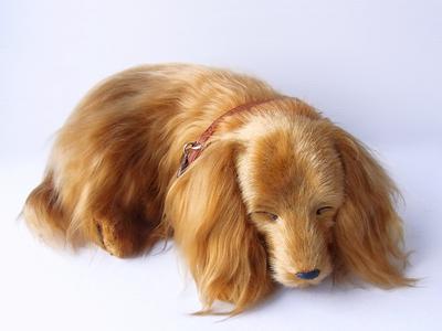 Ninian und Kino Perfect Pet (Kleine Größe) Dackel lang (rot) Stofftier Hund Realistisch Aussehend Dackel Waren Tier Heilung Bewegliches Geschenk