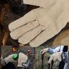 1 Pair Wear Proof BBQ Gloves Thick Work Gloves Sturdy Outdoor Heat Proof Gloves  For BBQ Grilling