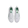 Nike Court Air Zoom Nxt 'White Kelly Green' DV3276-102