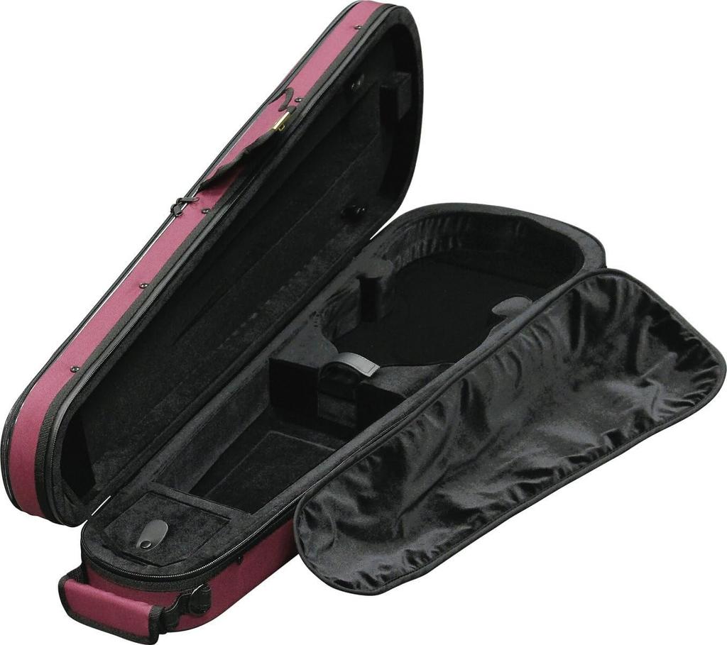 Super Light Triangular Shaped Violin Black Case,