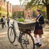Metal Bicycle Rear Basket Large Wicker Storage Bin Organizer with Waterproof