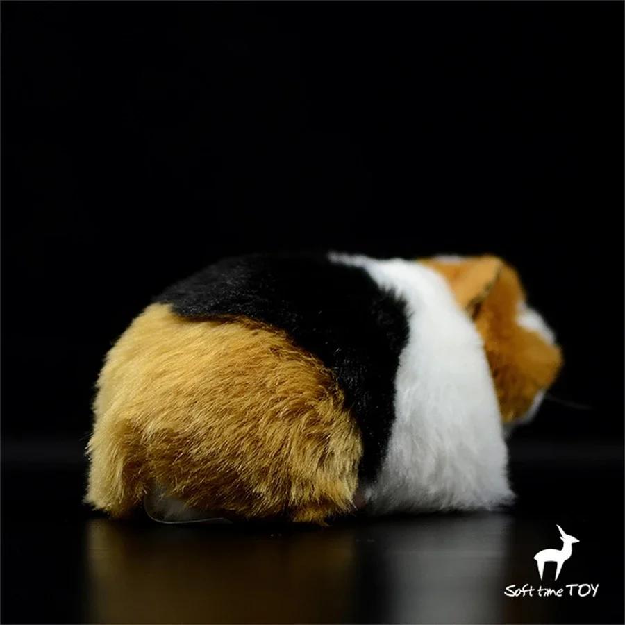 Guinea Pig High Fidelity Anime Cute Plushie Cavy Plush Toys Lifelike Hamster Animals Simulation Stuffed Doll Kawai Toy Gifts