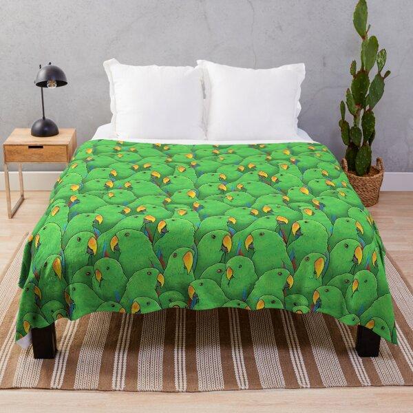 Blanket eclectus males