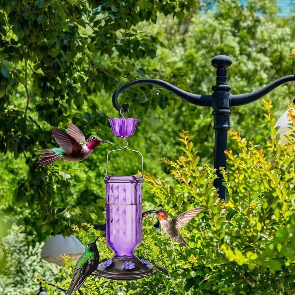 Karmnik dla kolibrów Wiszący karmnik dla ptaków z zabezpieczeniem przed mrówkami Zewnętrzny karmnik dla kolibrów z 6 otworami do karmienia