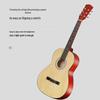 Akazienvogel 36-Zoll Anfänger Folk-Gitarre
