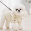New Spring and Summer Pet Shirt Breathable Teddy Bipod Small Dog Than Bear Cat Summer Dog Clothes