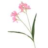 Realistic Artificial Freesia Flowers 2 Fork Simulation Whelan Flower  Wedding Party Decor