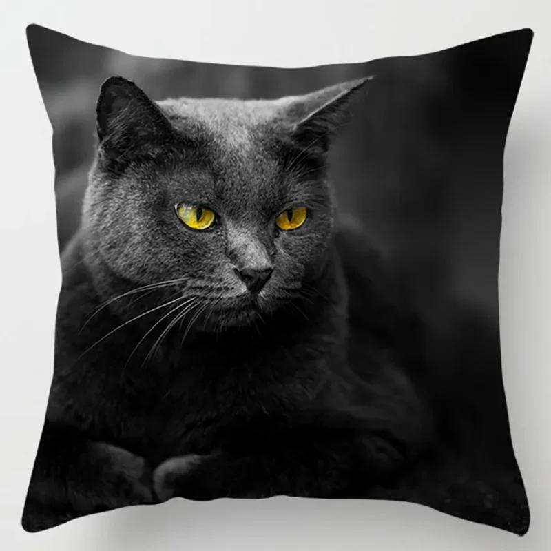 45X45CM Cat Collection Pillowcase Home and Office Decor Square Pillowcase