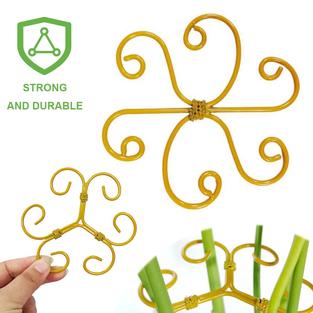 5Pcs Plant Stem Support Reusable Monstera Plant Support Plant Stabilizer for Thriving Growth