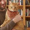 Multipurpose Leopard Print Saliva Towel Adjustable Cat Saliva Towel Pet Triangle Scarf  Party
