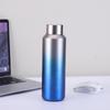Shangqi Gradient Insulated Sports Water Bottle