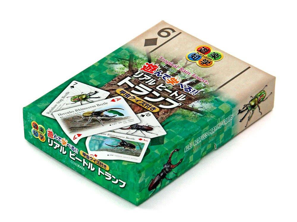 Carolata Real Beetle Hrací karty Jelen Nosorožec Vzdělávací Hrací Ilustrovaný Dárek (Brouk/Kvíz v ceně/Plast) Brouk, Brouk, Hračka, Hračka,