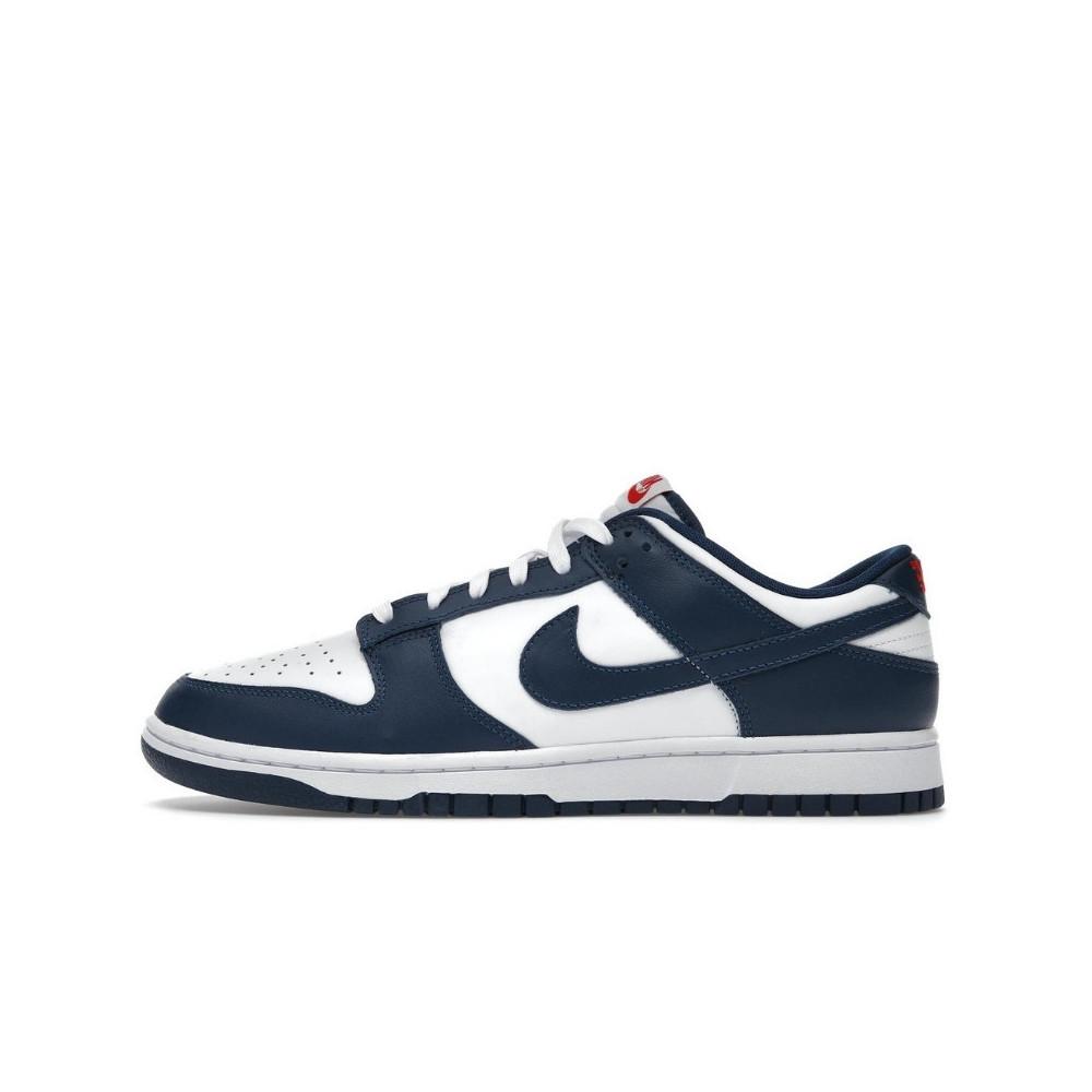 Nike Dunk Low Valerian Blue