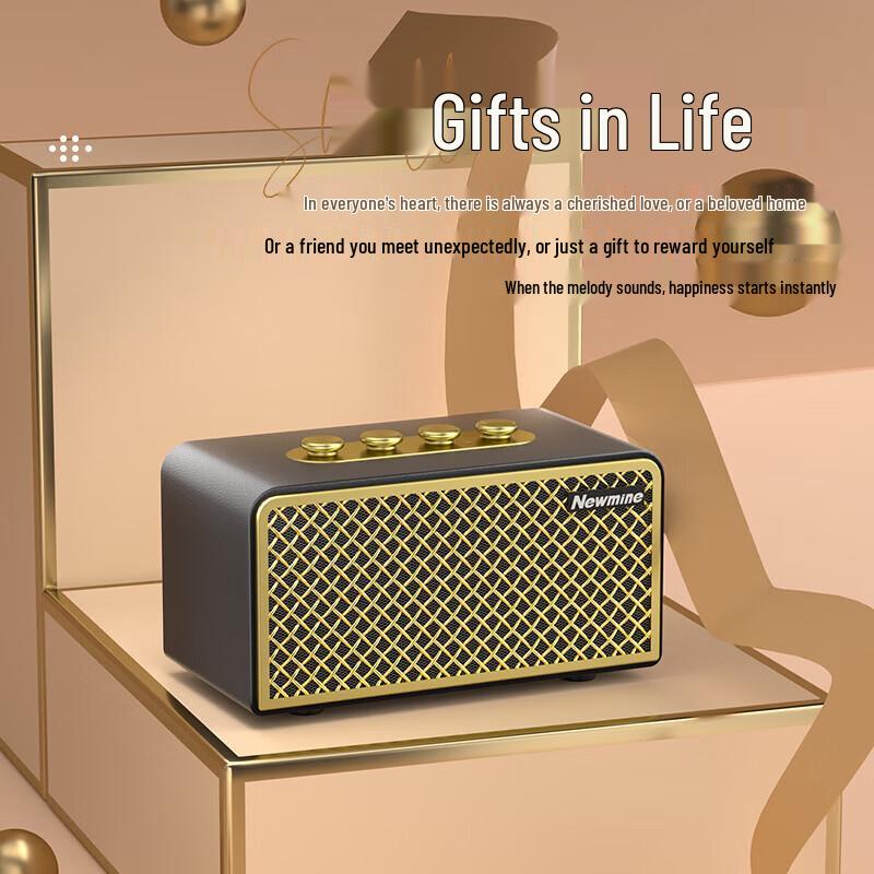 Newmine BT521 Portable Bluetooth Speaker CN plug (adapter included)
