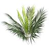 Künstlicher Grüner Cycas-Palmenwedel - Hohe Simulation Hochzeitsdeko-Requisite mit 9-Zweig-Design Farn