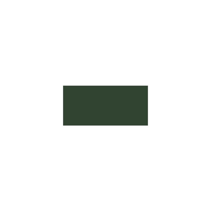 Peinture pour l'extérieur Patio Paint Vert forêt noir 59 ml