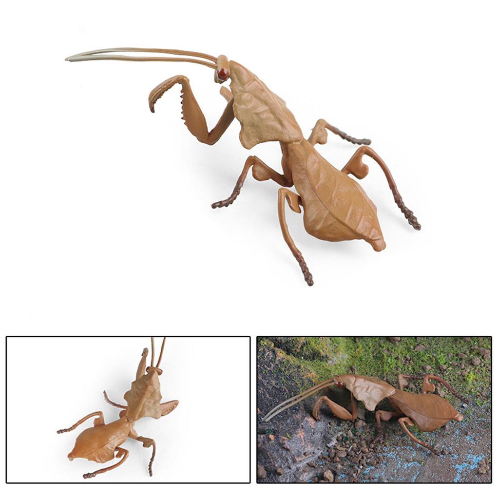 Neues Kinder-Simulations-Insektenmodell Solide Kognitionswissenschaften Bildung Mücken Halloween Streich Lustiges Spielzeug Geschenk