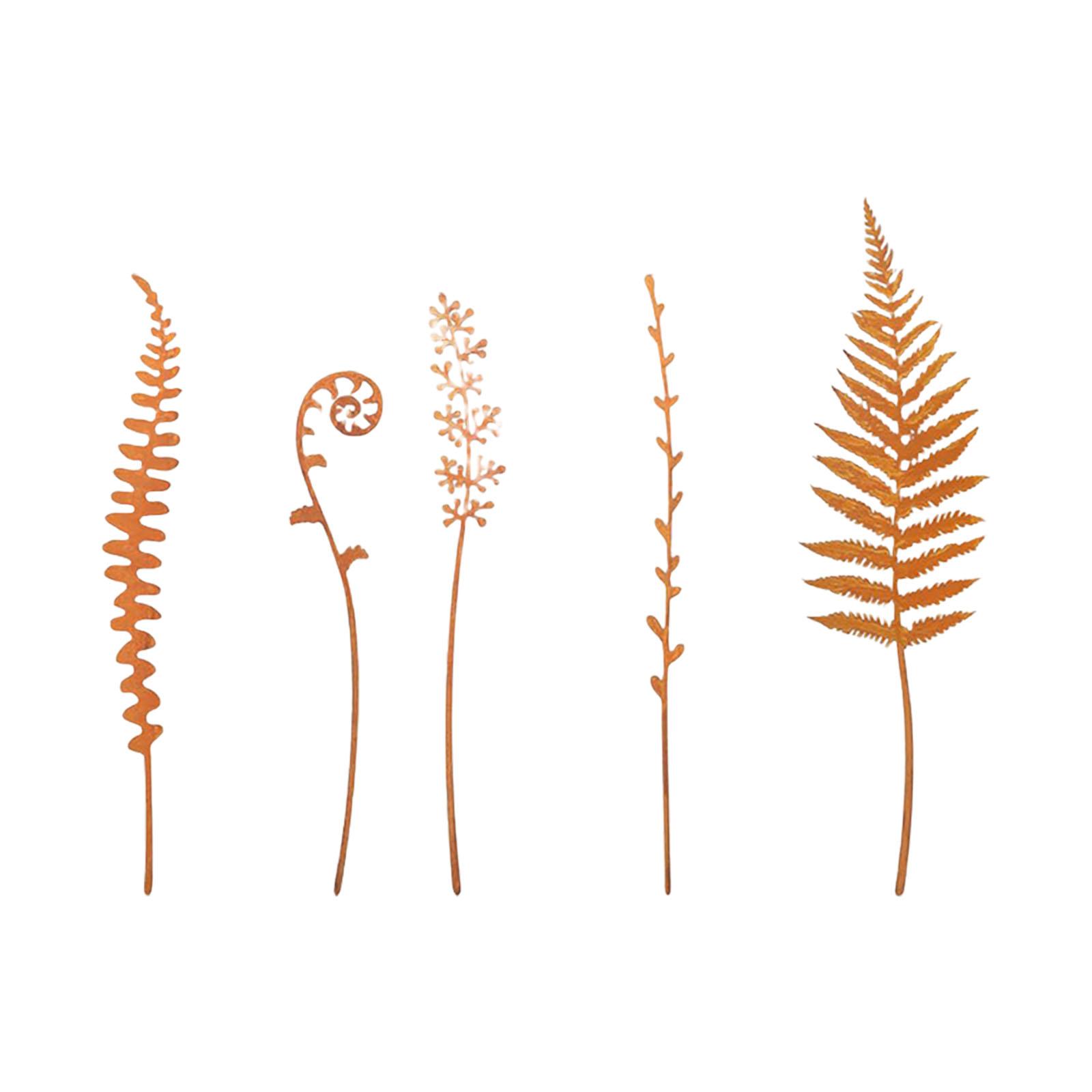 

Железный колышек для поддержки папоротника, декоративный садовый колышек с защитой от ржавчины для газонов, патио, ландшафта, 5 шт. 2