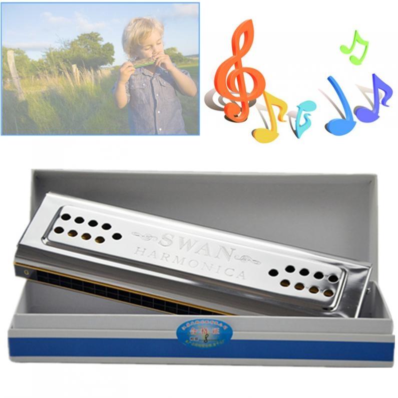 24-hole C&G Double-sided Tremolo Harmonica Playing Harmonica Beginner Self-taught Advanced Wind Instrument