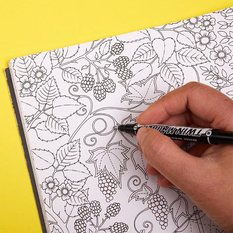 M&G Dual-Tip Oil-Based Marker Pens
