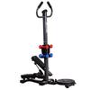 Wan Duo FN-T2210D Home Stepper and Waist Twister