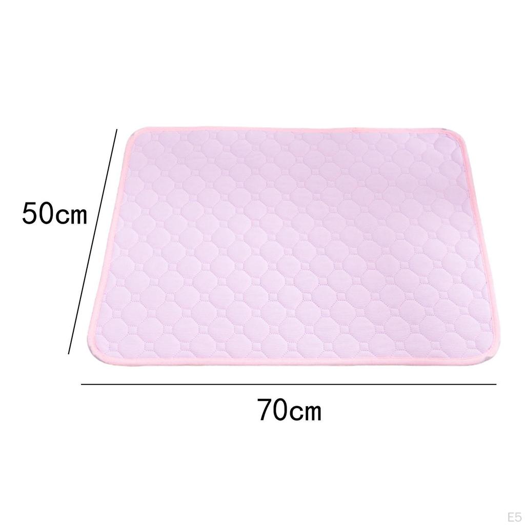 Dog Training Pad for Puppies - Absorbent And Airy