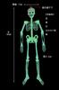 Set of 2 90cm Skeleton Skeleton Toys for and Glow-in-the-Dark Figures, Glow-in-the-Dark Parties, Rooms, Cars, More. Horror-inspired Figures.