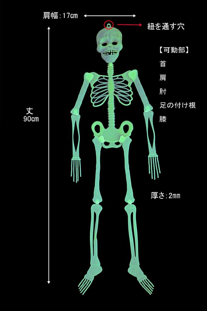 Set of 2 90cm Skeleton Skeleton Toys for and Glow-in-the-Dark Figures, Glow-in-the-Dark Parties, Rooms, Cars, More. Horror-inspired Figures.