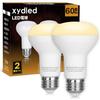 Xydled LED Bulb, E26 Base, Reflector Bulb, Mini Reflector Lamp Type, Warm White, Equivalent To 60W, 6.5W, 650lm, 3000k, Set of 2