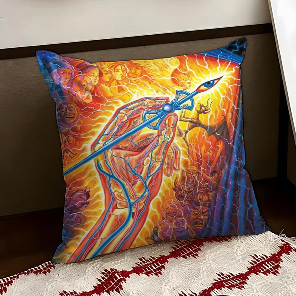 

AAlex GreyS Art Cushion Cover Reversible Soft Durable Pillow Cover Home Car MultiScene Use for Daily Comfort 30X30cm
