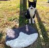 Techno Prime And Packable Chair Fluffy Chair 35 X 31 Warm for Men and 70255 "Hachiware" Cat-Shaped Cushion, Pad, Approx. Cm, Women,