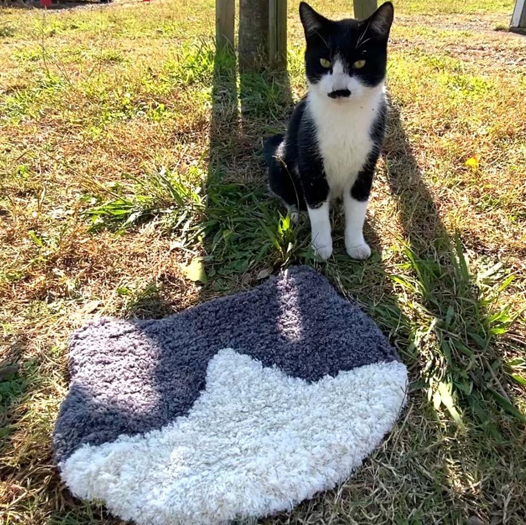 Techno Prime And Packable Chair Fluffy Chair 35 X 31 Warm for Men and 70255 "Hachiware" Cat-Shaped Cushion, Pad, Approx. Cm, Women,