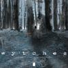 Wytches Volume 1 by Scott Snyder Paperback Book 9781632153807